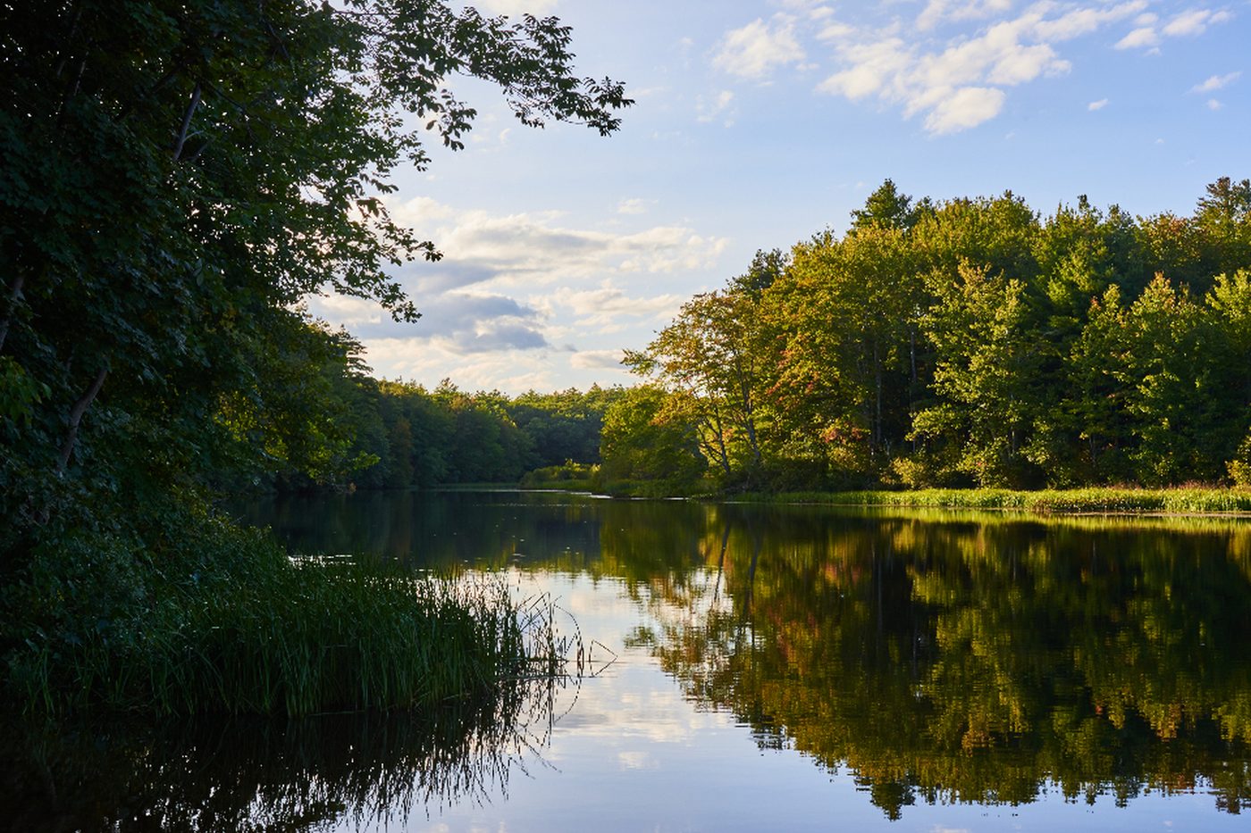 Early autumn
