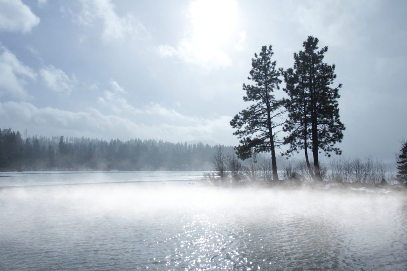 Morning mist