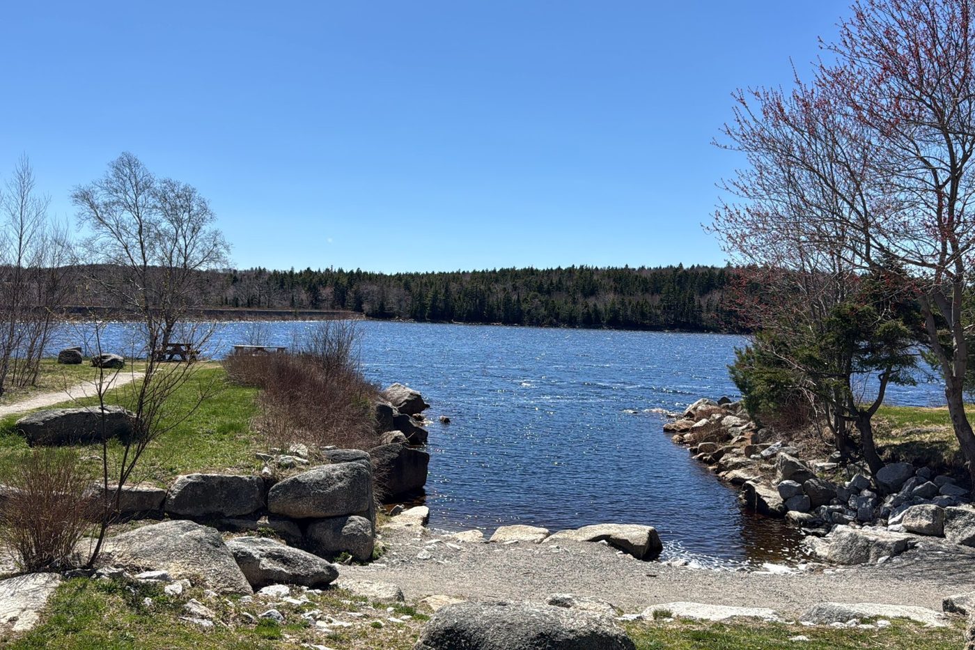 Shoreline