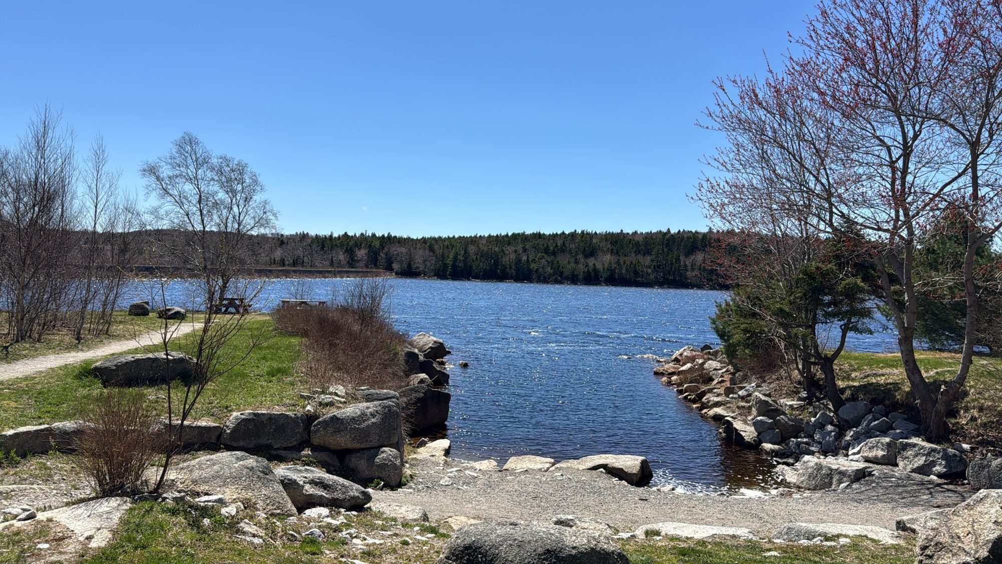 Lake shoreline and boreal forest near Ignace, Ontario